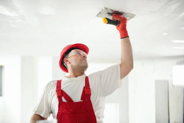 Best Post-Construction Mold Inspection  in Bardonia, NY