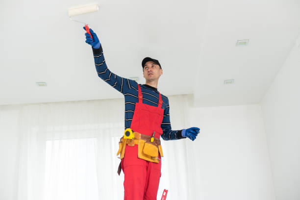 Best Black Mold Removal  in Bardonia, NY