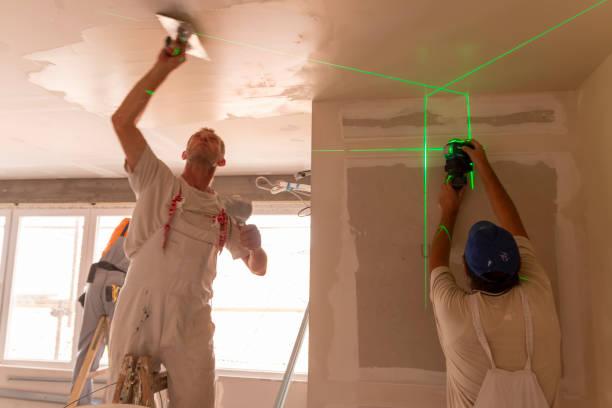 Best Mold Odor Removal Services  in Bardonia, NY