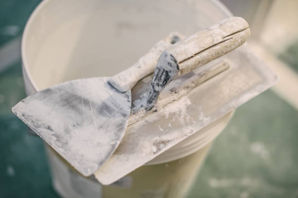 Best Mold-Related Health Consultation  in Bardonia, NY