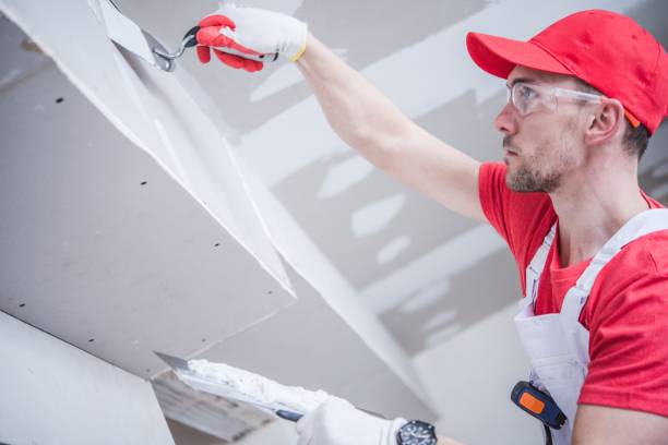 Best Industrial Mold Remediation  in Bardonia, NY